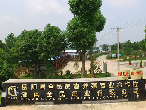 湖南全民鸽业-(1).JPG