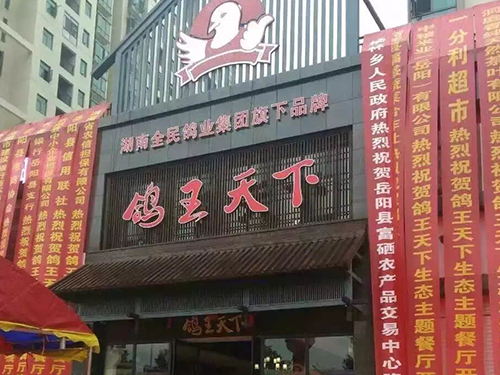 鸽王天下生态特色主题连锁餐厅1.png